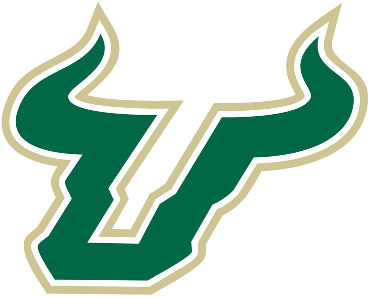 University of South Florida