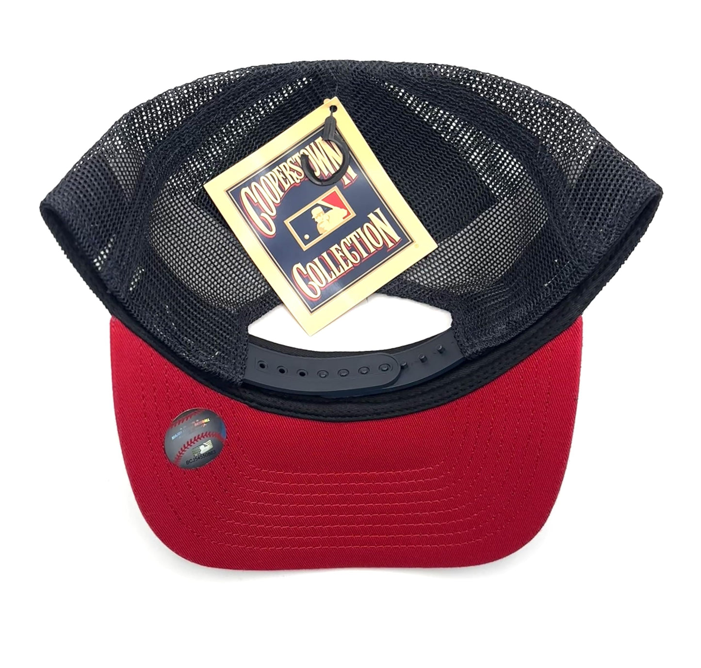 Officially Licensed Minnesota Baseball Mesh Trucker Hat Classic Twins Team Logo Adjustable Structured Embroidered Cap