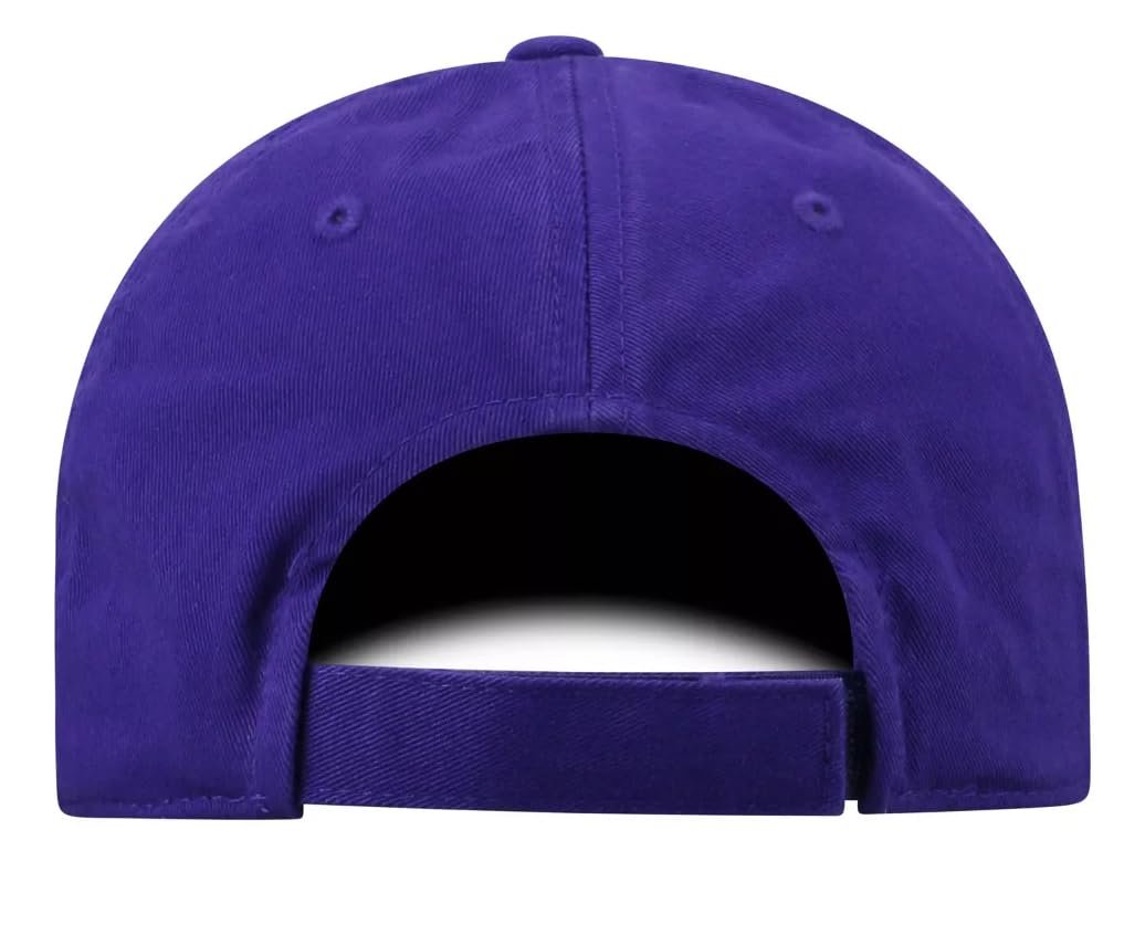 Texas Christian Classic Edition Hat Adjustable University Team Logo Cap