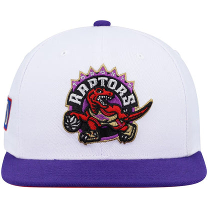 TORONTO RAPTORS HAT TWO TONE SNAPBACK 50TH ANNIVERSARY NBA BASKETBALL TEAM CAP